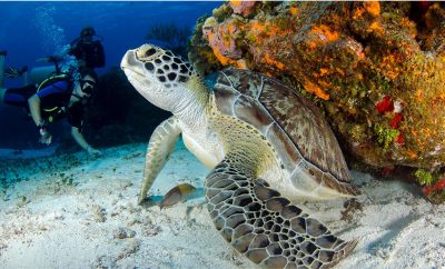 The Ultimate Guide to Last-Minute Travel Deals